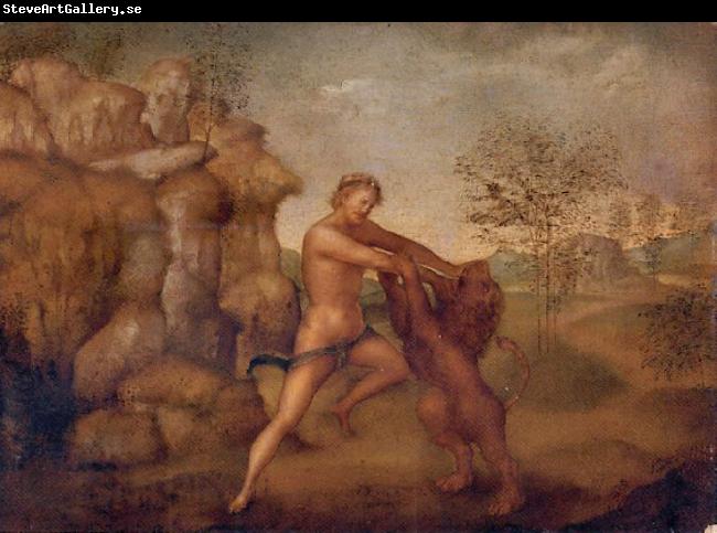 unknow artist Hercules and the Nemean Lion, oil on panel painting attributed to Jacopo Torni